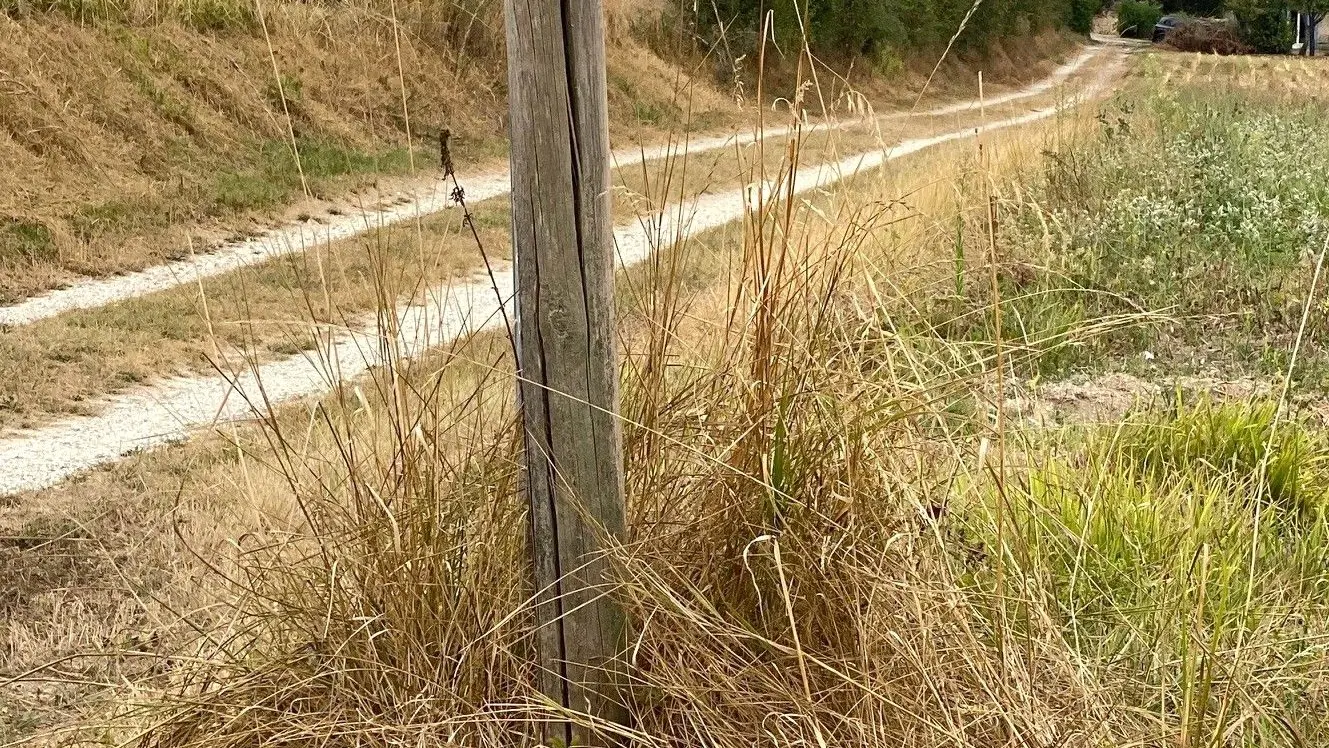 PONTEYRAUD-boucle du Bois de Jalineau-Chemin-Poteau