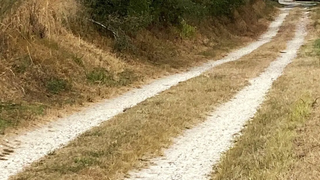 PONTEYRAUD-boucle du Bois de Jalineau-Chemin