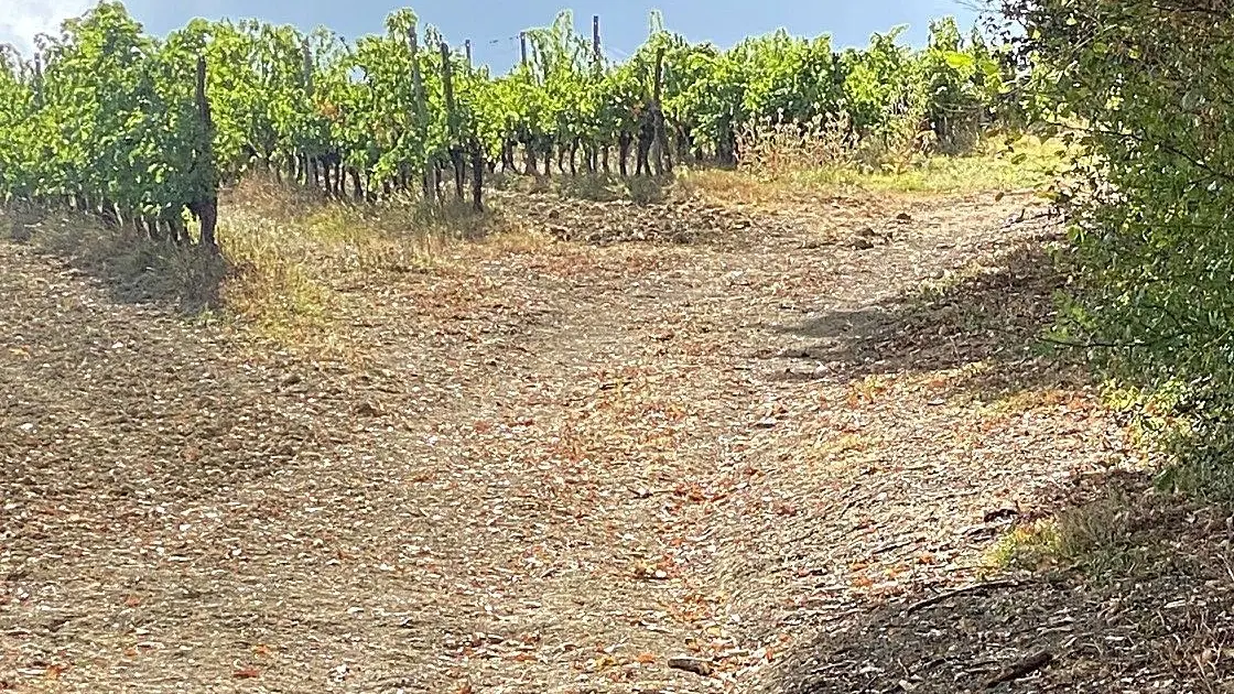 PORT-SAINTE-FOY-Boucle du Moulin-Chemin