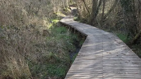 Passerelle Boucle des Etangs