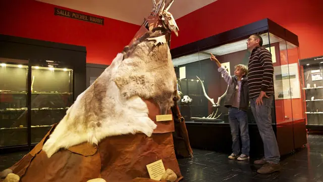 Périgueux - Musée d'Art et d'Archéologie du Périgord