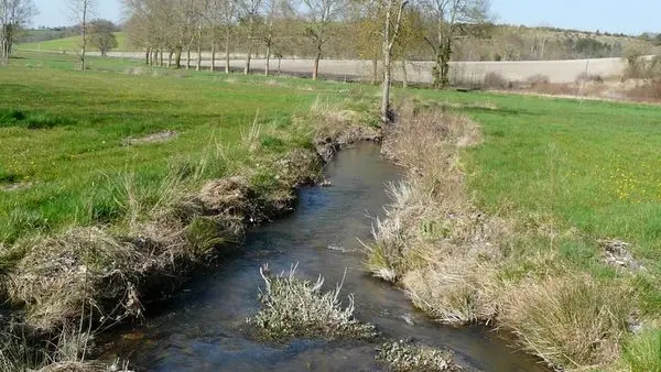 Peychay_Grand_Champ_Saint-Pardoux-Saint-Martin_aval