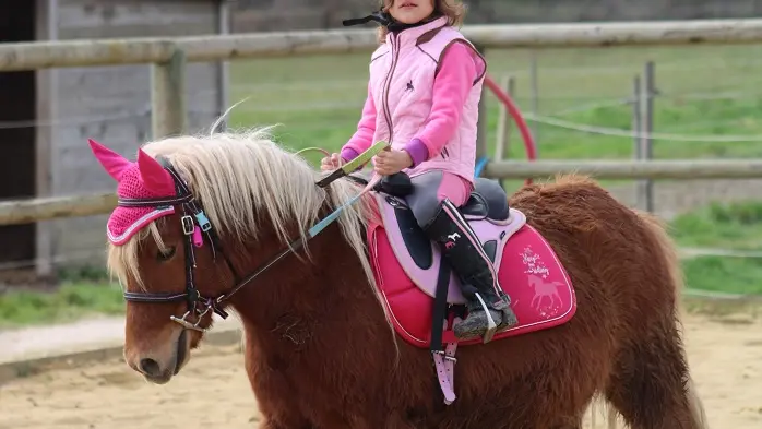 Poney-club-Domaine-d'Aure-St-Rémy(1)