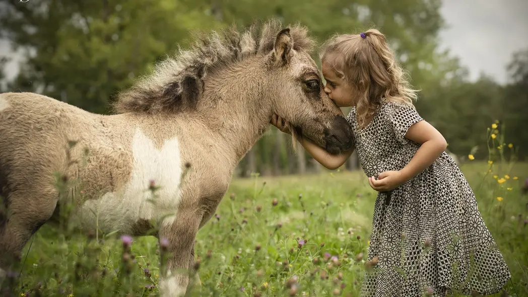 Poney-club-Domaine-d'Aure-St-Rémy(3)