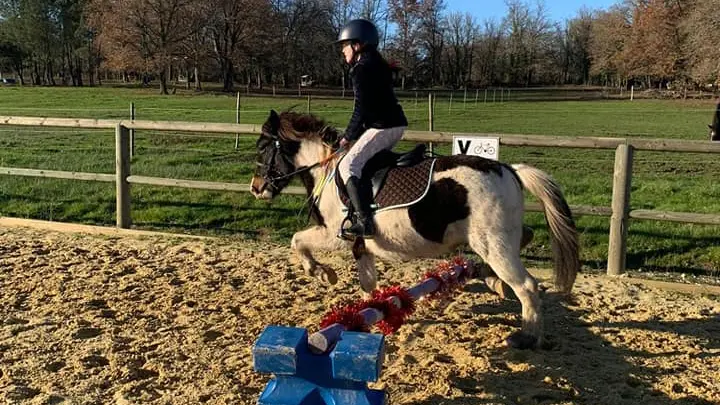 Poney-club-Domaine-d'Aure-St-Rémy(4)