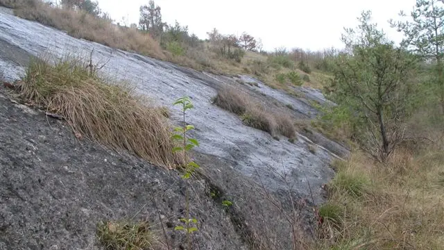 Plateau d'Argentine