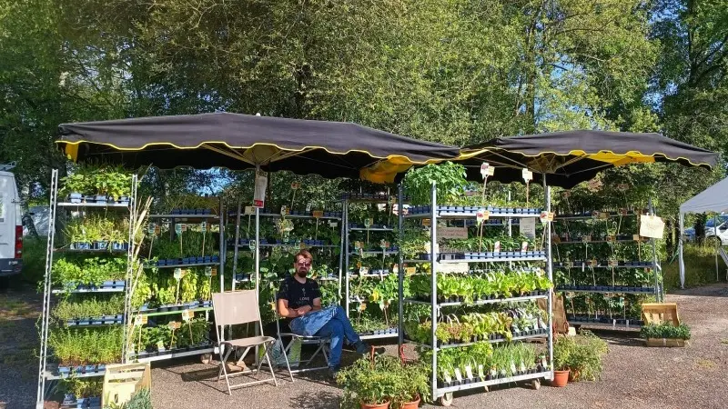 Plantzone stand marché