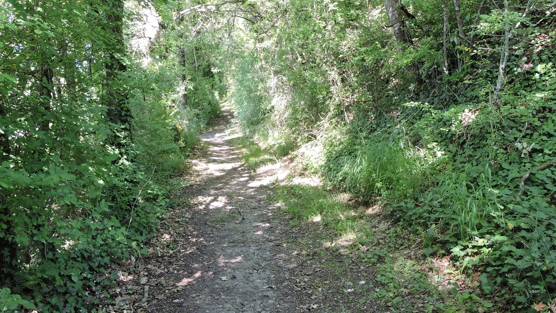 Promenades gourmandes à Celles