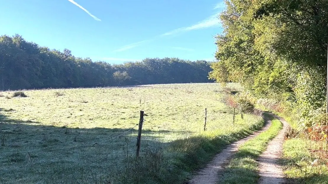 RUDEAU-LADOSSE-Boucle de Rudeau-Ladosse-Chemin