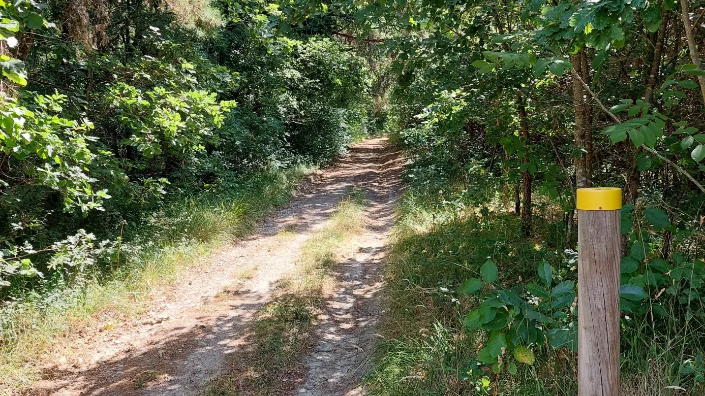 Razac-Forêt-visuel chemin poteau jaune