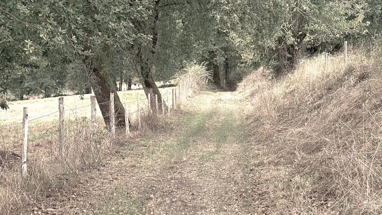 SCEAU-SAINT-ANGEL-Boucle de Sceau-Chemin