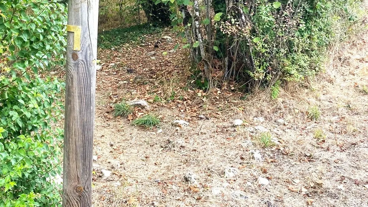 SAINT-AMAND DE VERGT-Boucle de Neufont-Chemin 2