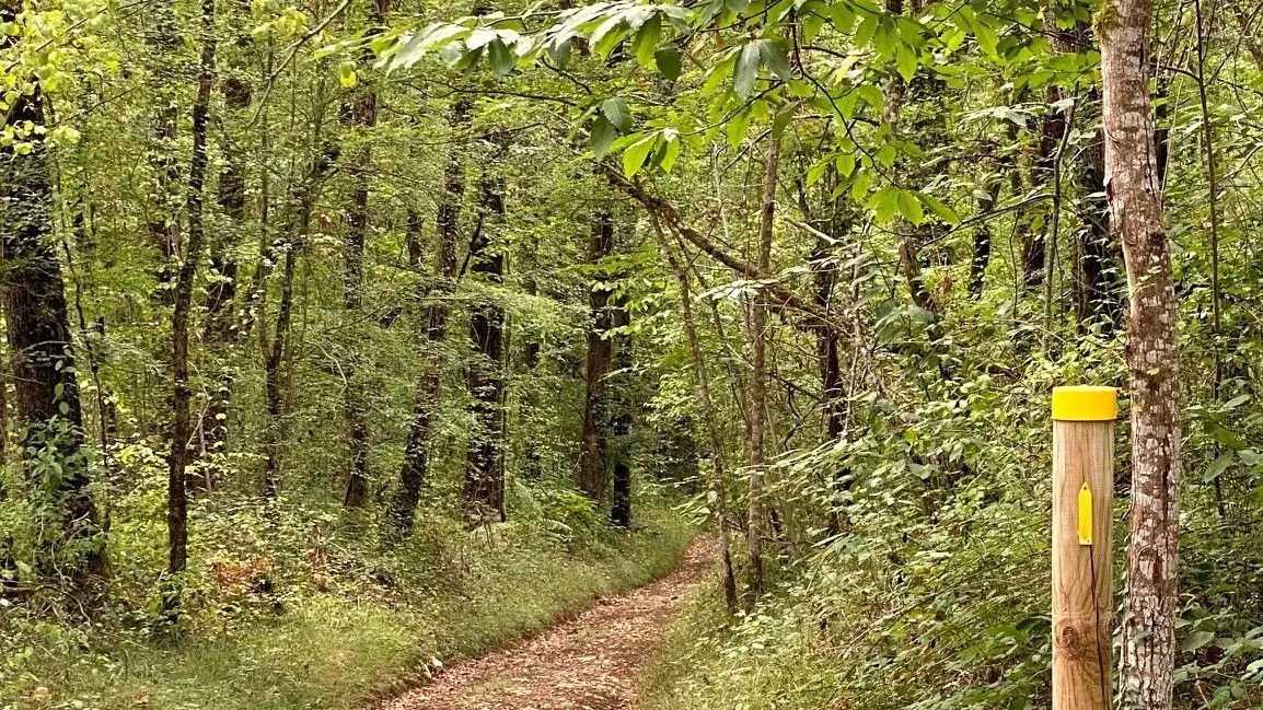 SAINT-AMAND DE VERGT-Boucle de Neufont-Chemin-Poteau