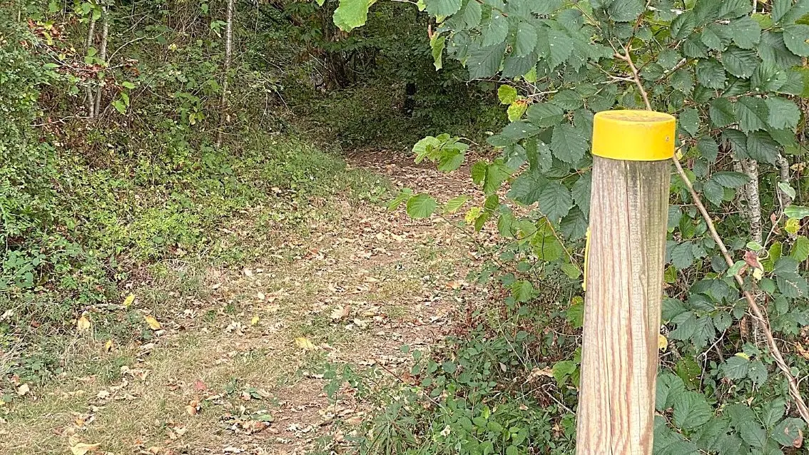 SAINT-AMAND DE VERGT-Boucle du Pas de l'Âne-Chemin-Poteau