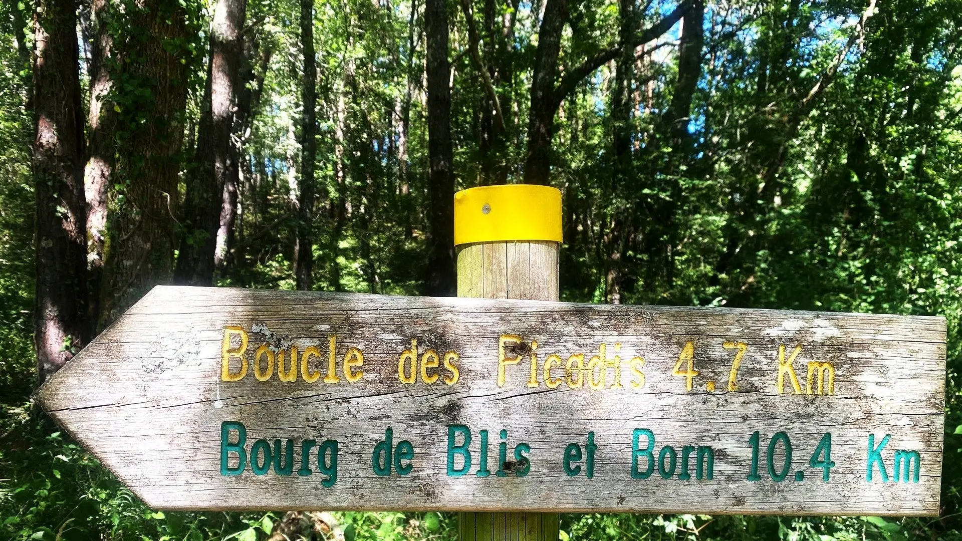 SAINT ANTOINE D'AUBEROCHE-Boucle des Picadis-Signalétique