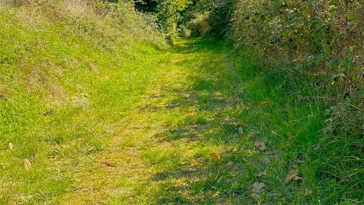 SAINT-AUBIN-DE-NABIRAT-Boucle Bois de la Croix-Chemin 2