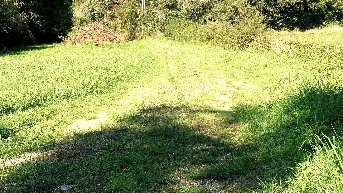 SAINT-AUBIN-DE-NABIRAT-Boucle La Borie-Chemin