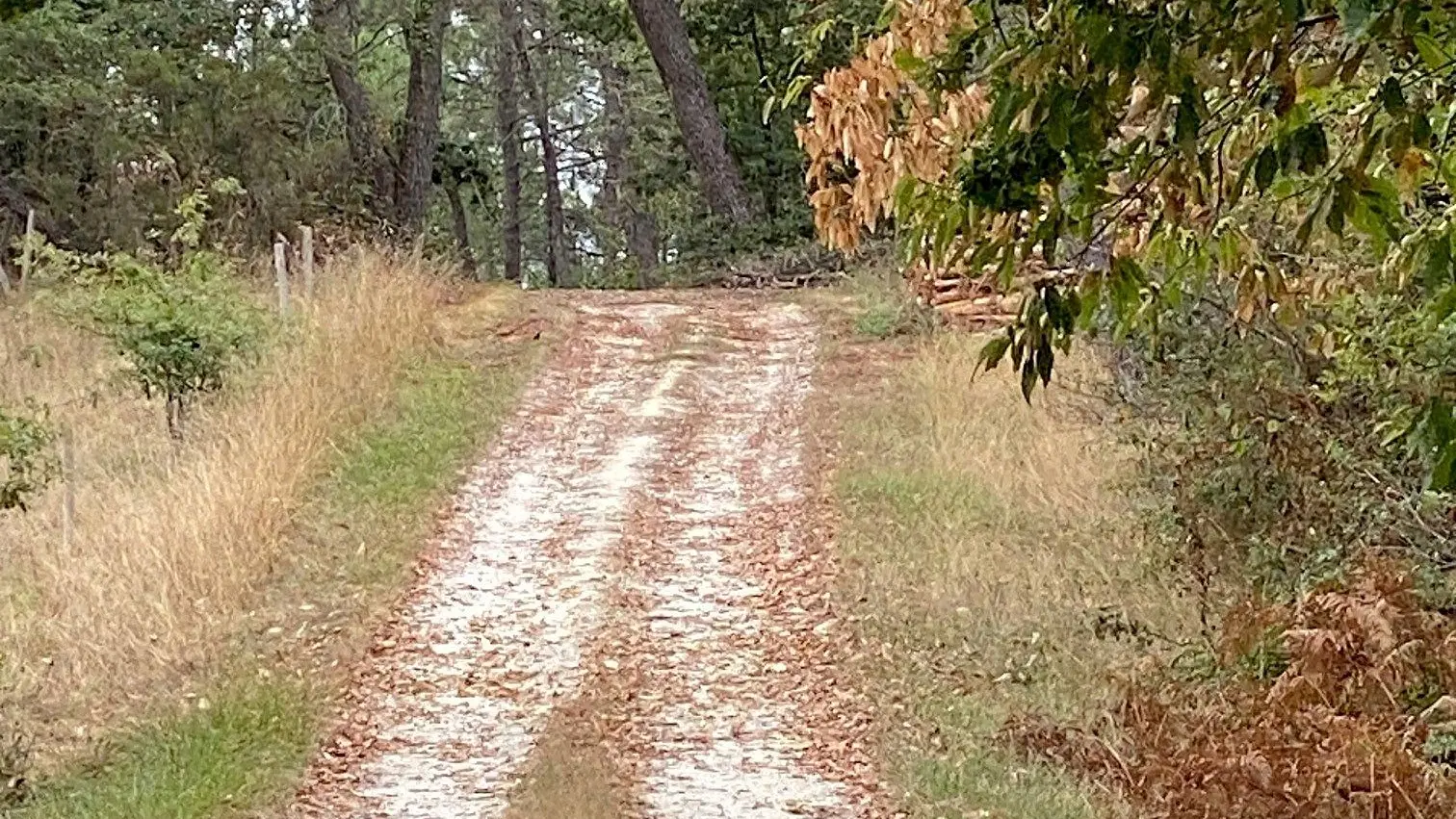 SAINT-AULAYE-PUYMANGOU-Boucle de Puymangou-Chemin