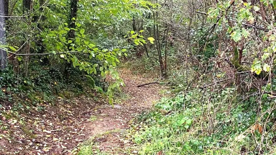 SAINT-BARTHELEMY-DE-BUSSIERE-Boucle de la Morinie-Chemin 2