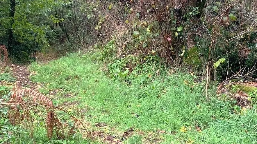 SAINT-BARTHELEMY-DE-BUSSIERE-Boucle de la Morinie-Chemin 3
