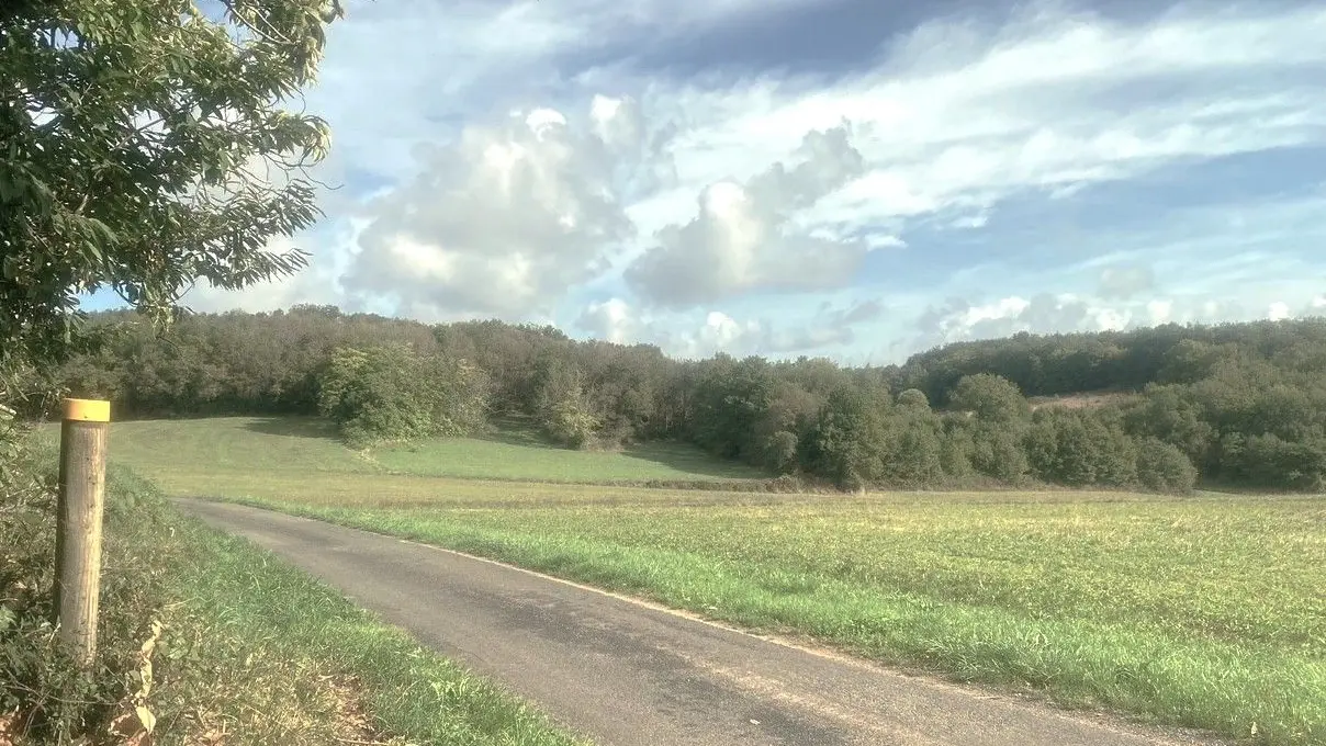 SAINT-CYPRIEN-Boucle de l'Ermite-Chemin-Poteau 2