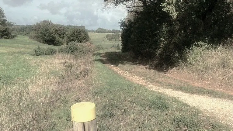 SAINT-CYPRIEN-Boucle de l'Ermite-Chemin-Poteau