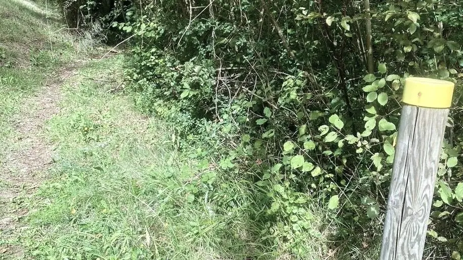 SAINT-CYPRIEN-Boucle du Garrit-Chemin-Poteau