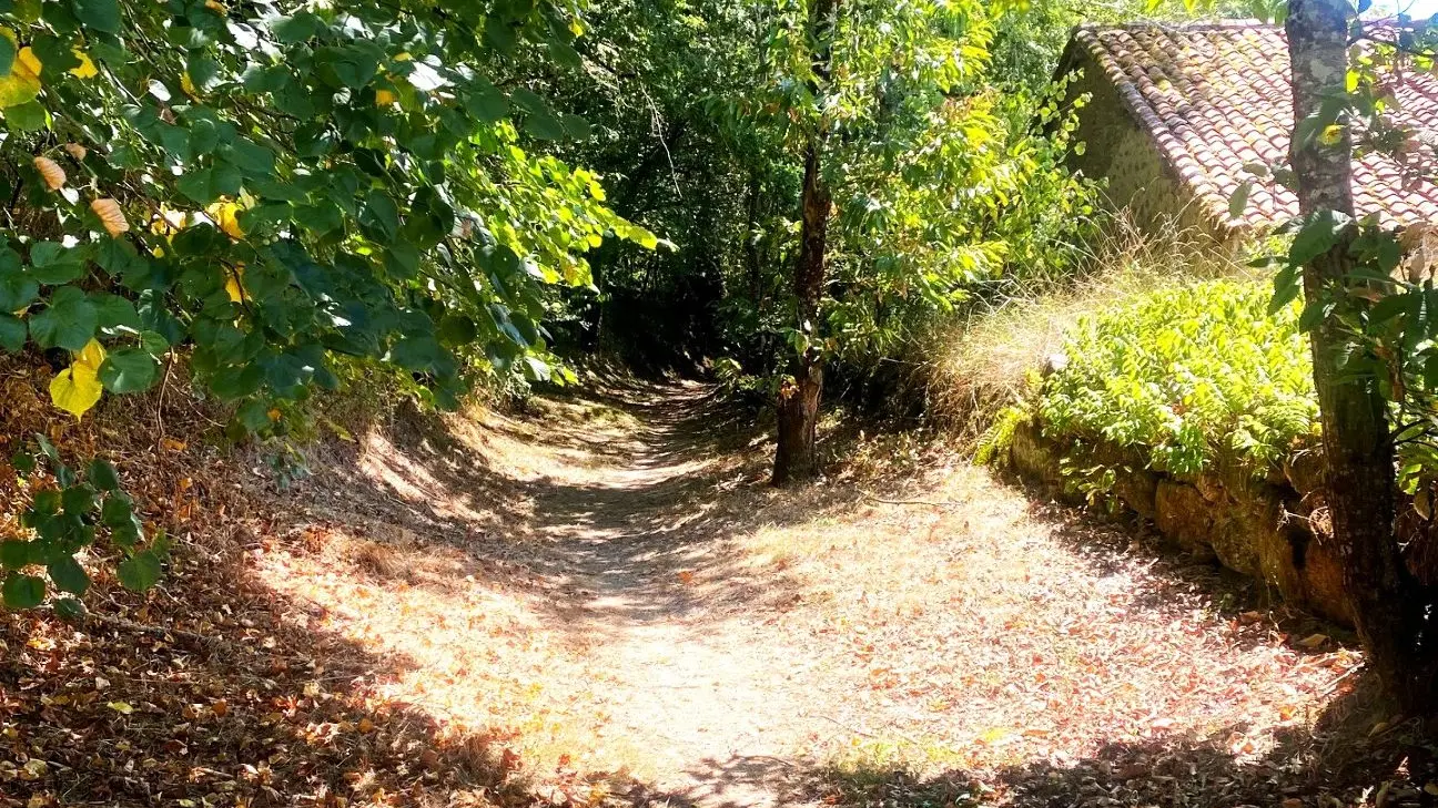 SAINT ESTEPHE-Boucle de Ligneras-Chemin