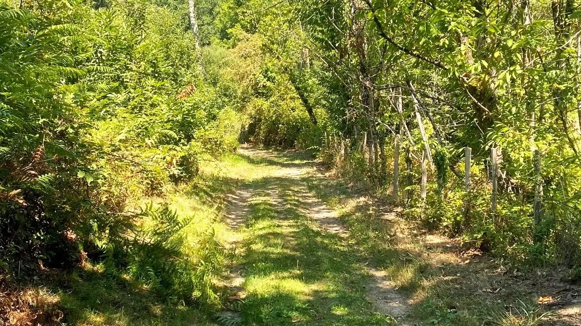 SAINT ESTEPHE-Boucle des Malibas-Chemin 2