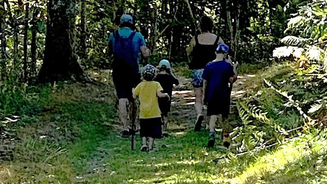 SAINT ESTEPHE-Boucle des Malibas-Chemin