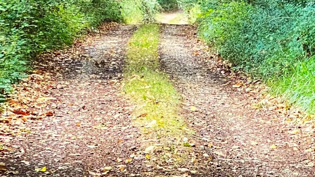 SAINT-FRONT-SUR-NIZONNE-Boucle de la Nizonne-Chemin