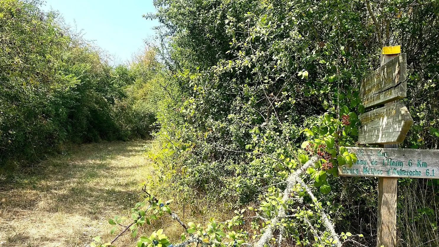 SAINT GERAC-Boucle de la Forêt-Chemin-signalétique