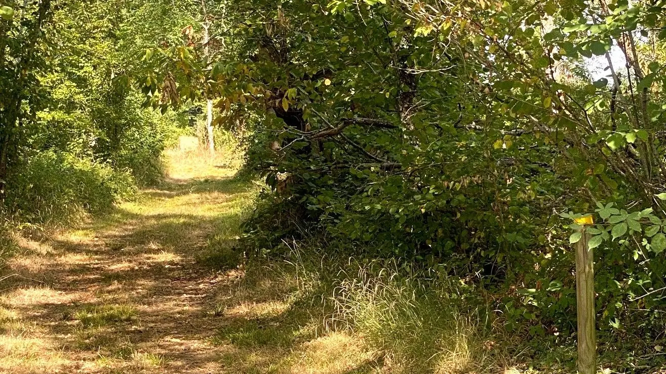 SAINT GERAC-Boucle du Plateau-Chemin-Poteau