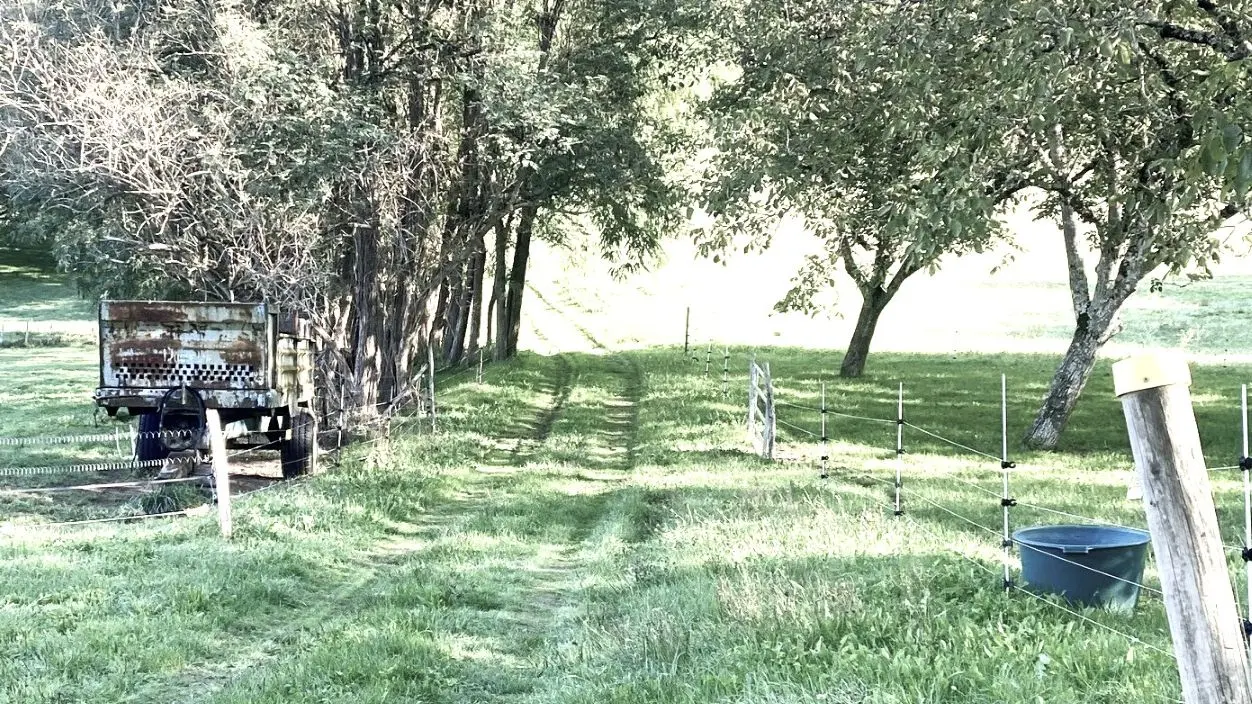 SAINT-GERMAIN-DE-BELVES-Boucle de Marcousin-Chemin 2