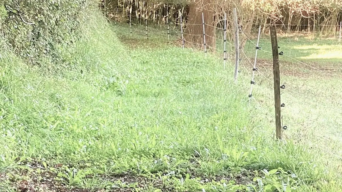 SAINT-GERMAIN-DE-BELVES-Boucle de Marcousin-Chemin