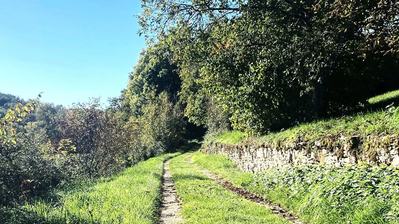 SAINT-GERMAIN-DES-PRES-Boucle des Aviateurs-Chemin