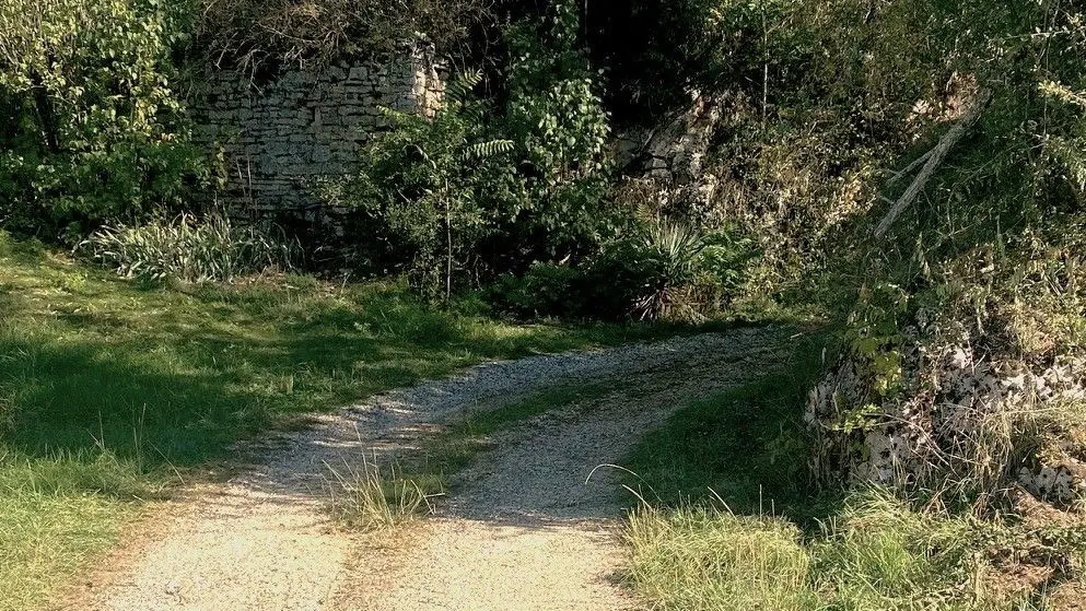 SAINT-GERMAIN-DES-PRES-Boucle du Viaduc-Chemin 2