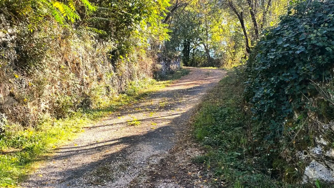 SAINT-GERMAIN-DES-PRES-Boucle du Viaduc-Chemin