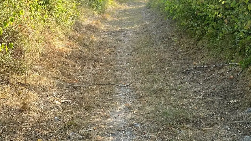 SAINT GERMAIN DU SALEMBRE-Boucle de la Mazille-Chemin 2