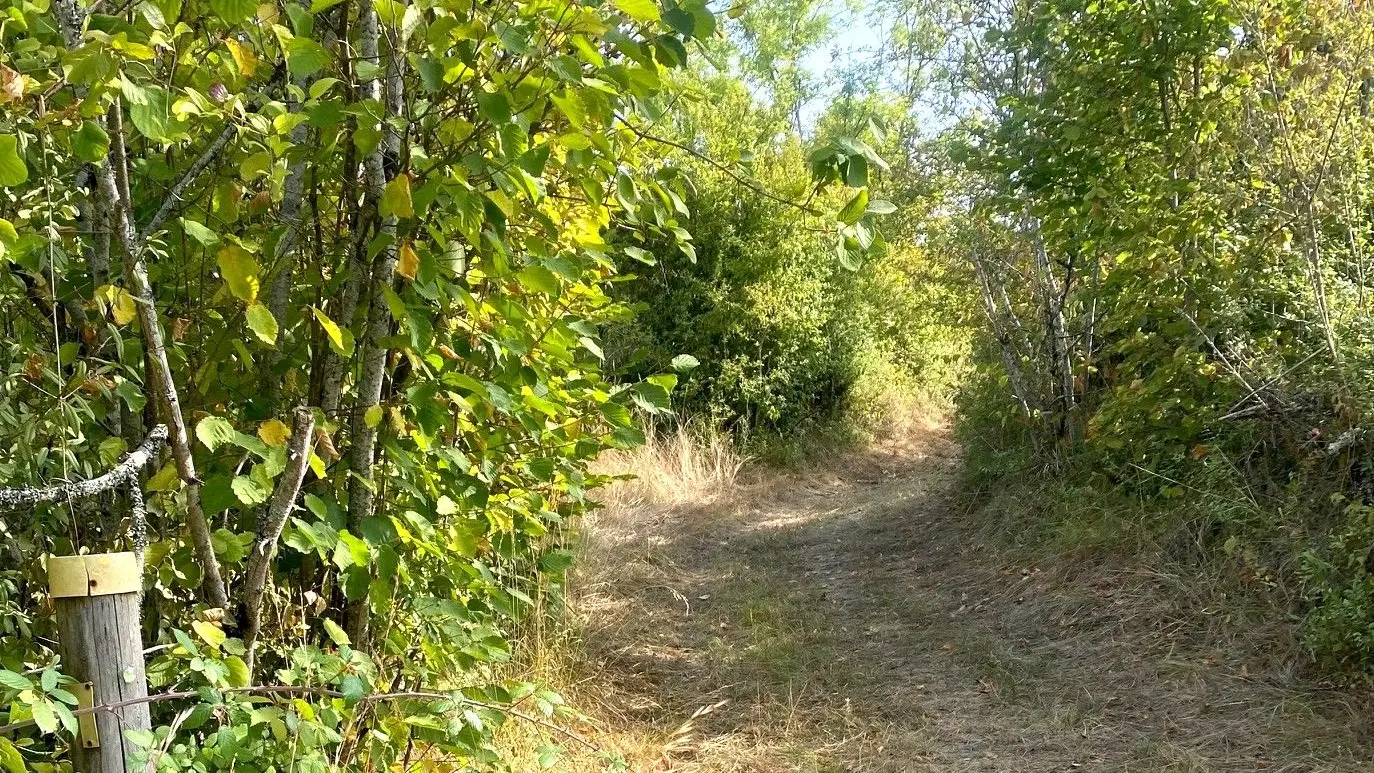 SAINT GERMAIN DU SALEMBRE-Boucle de la Mazille-Chemin-Poteau