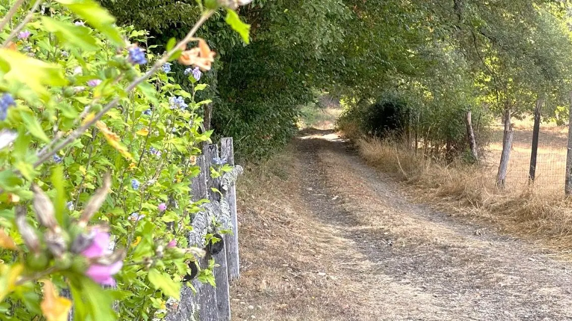 SAINT GERMAIN DU SALEMBRE-Boucle de la Mazille-Chemin