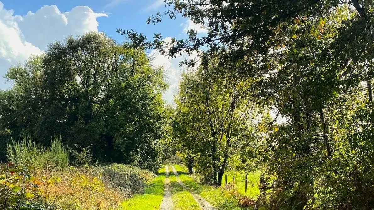 SAINT-JORY-DE-CHALAIS-Boucle du Pont Vieux-Chemin