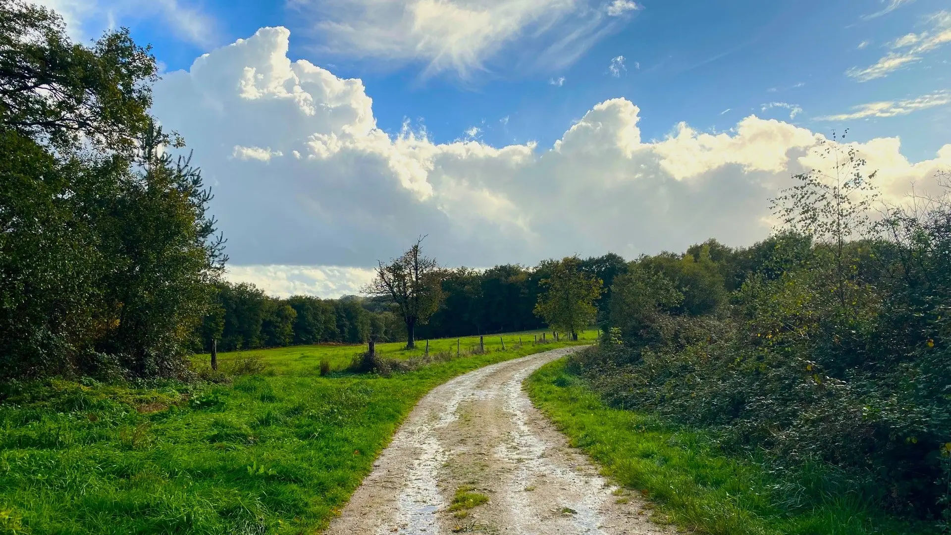 SAINT-JORY-DE-CHALAIS-Boucle de la Mauroussie-Chemin 2
