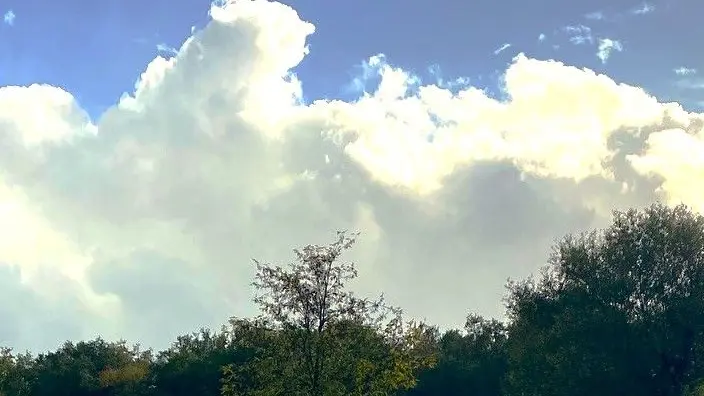 SAINT-JORY-DE-CHALAIS-Boucle de la Mauroussie-Chemin