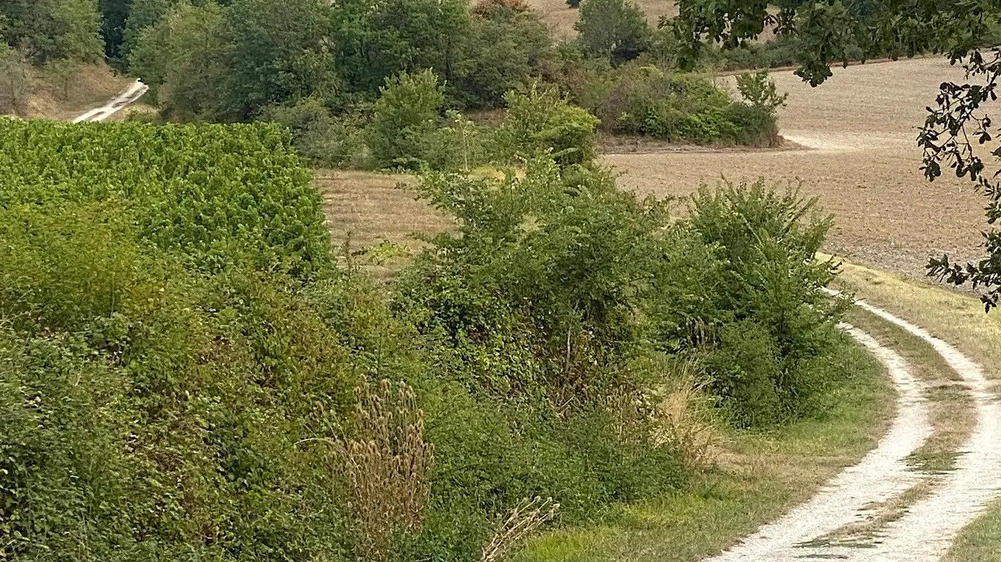 SAINT-JULIEN D'EYMET-Boucle du Pas de l'Âne-Chemin 2