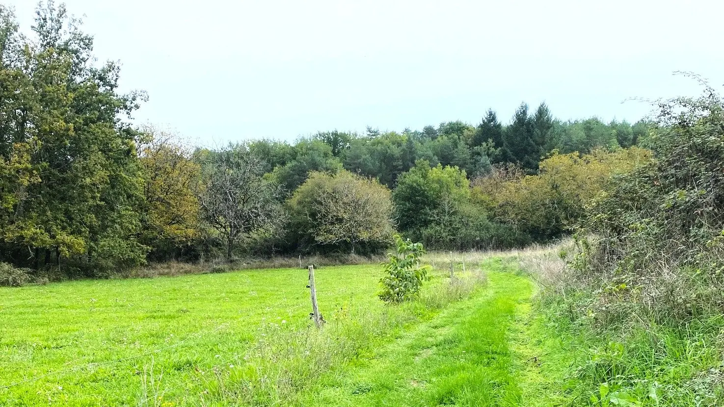 SAINT-JULIEN-DE-BOURDEILLES-Boucle de Saint Julien-Chemin