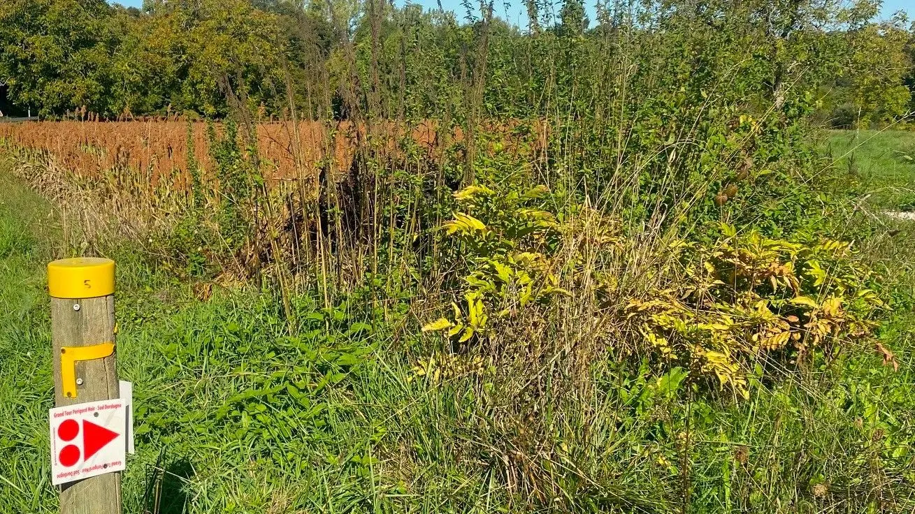 SAINT-LAURENT-LA-VALLEE-Boucle Les Tours Anglaises-Chemin-Poteau