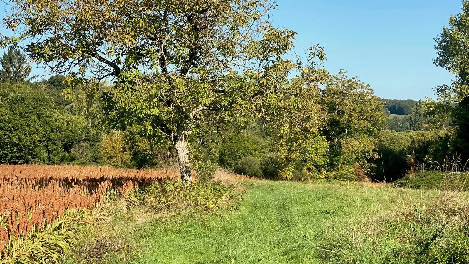 SAINT-LAURENT-LA-VALLEE-Boucle Les Tours Anglaises-Chemin