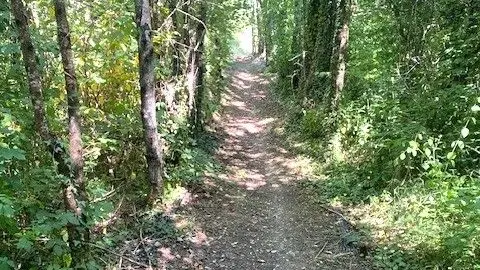 SAINT LAURENT SUR MANOIRE-Boucle des Chaputs-Chemin