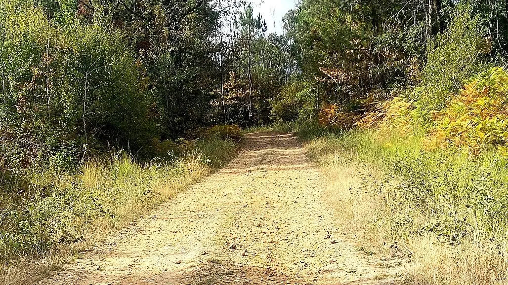 SAINT-MARTIN DE GURSON-Boucle de Plagnac-Chemin